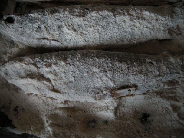 Pstruh po domácky - obrázok 2