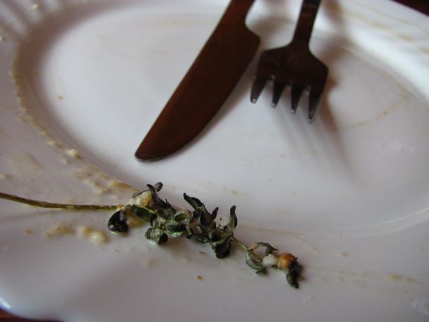 Augustová záhrada s kuriatkami - obrázok 6