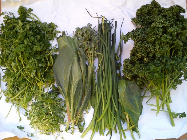 Frankfurtská zelená omáčka - obrázok 1