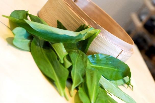 Bravčová panenka v listoch divého cesnaku - obrázok 1