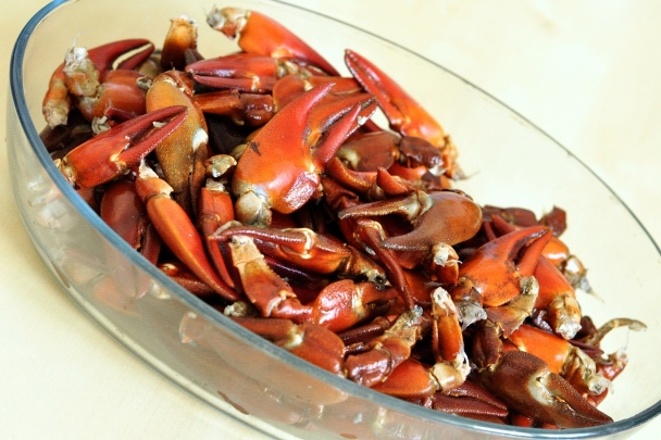 Raky v hubovom ragú - obrázok 3