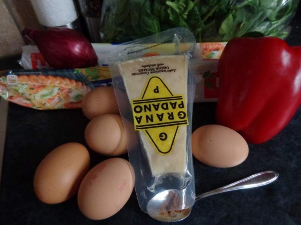 Pascualina (fotorecept) - obrázok 1