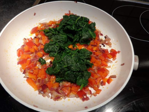 Pascualina (fotorecept) - obrázok 3