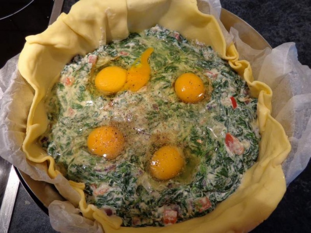 Pascualina (fotorecept) - obrázok 8