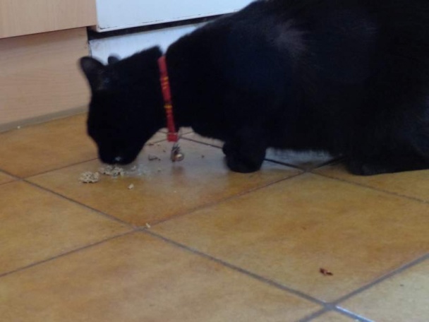 Mäsové guľky colombo v hodvábnej kokosovej omáčke (fotorecept)  - obrázok 10