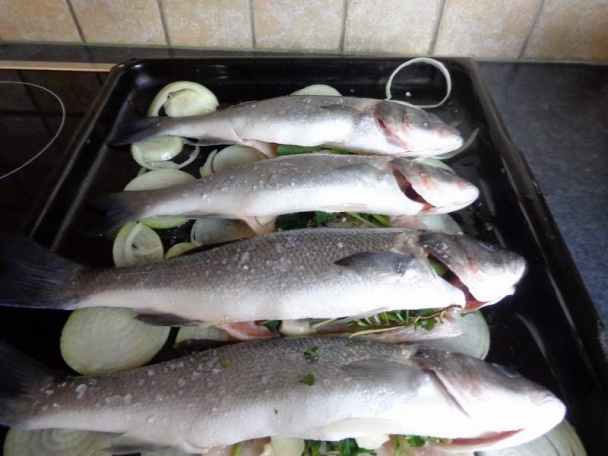 Morský vlk pečený v rúre na cibuľovej postieľke - obrázok 3