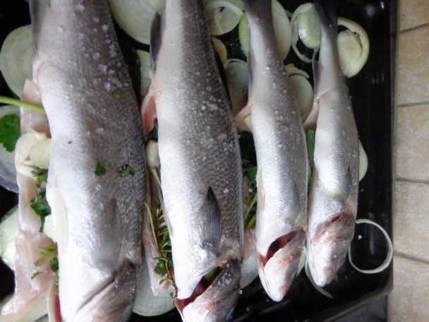 Morský vlk pečený v rúre na cibuľovej postieľke - obrázok 4