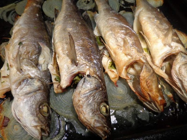 Morský vlk pečený v rúre na cibuľovej postieľke - obrázok 5