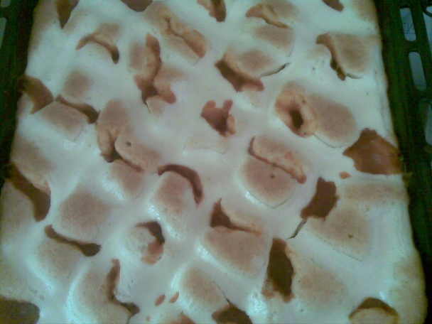 Rýchly tvarohový koláč (fotorecept) - obrázok 6