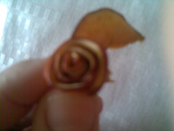 Jablkové ruže (fotorecept) - obrázok 1