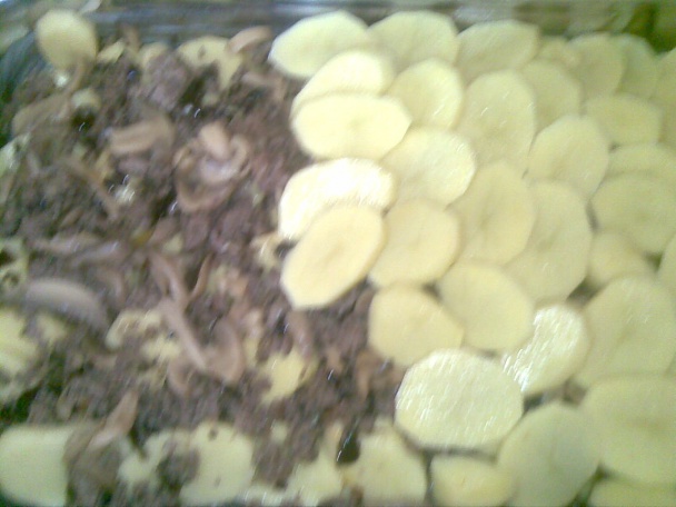 Zemiakový pekáč (fotorecept ) - obrázok 5