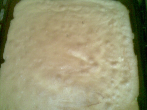 Tvarohový koláč (fotorecept ) - obrázok 10