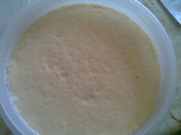 Kysnuté lievance (fotorecept) - obrázok 2