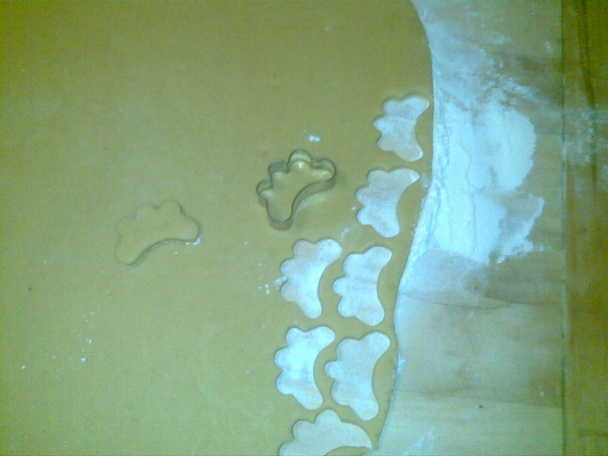 Zázvorníky (fotorecept) - obrázok 3