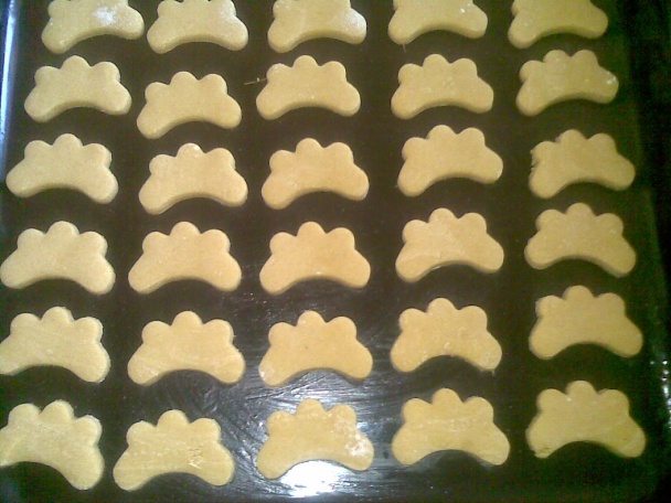 Zázvorníky (fotorecept) - obrázok 4