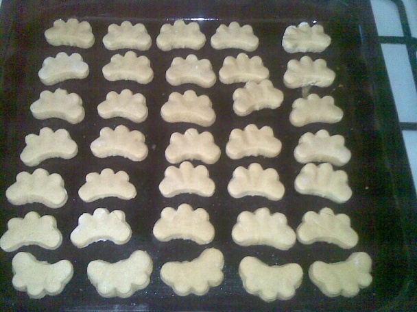 Zázvorníky (fotorecept) - obrázok 5