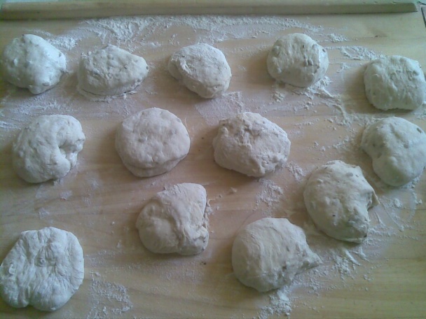 Chlebové posúchy (fotorecept) - obrázok 1