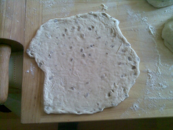 Chlebové posúchy (fotorecept) - obrázok 2