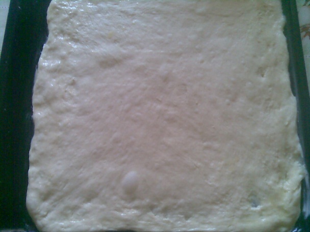 Kysnutý čerešňovo-tvarohový koláč (fotorecept) - obrázok 1