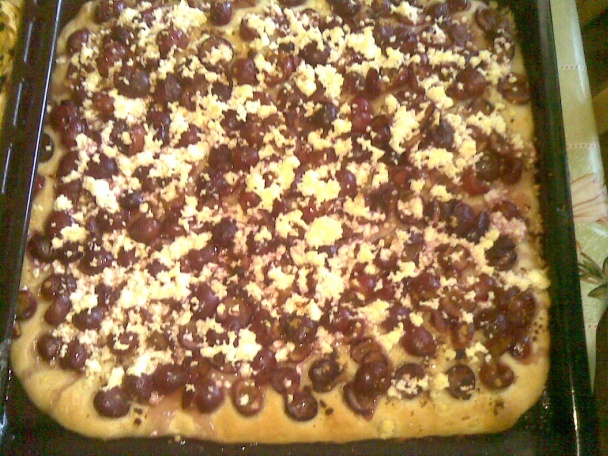 Kysnutý čerešňovo-tvarohový koláč (fotorecept) - obrázok 4