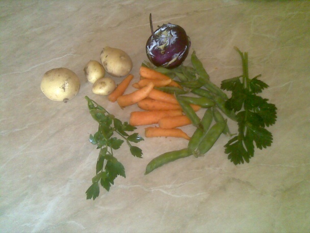 Obed zo záhradky (fotorecept) - obrázok 1