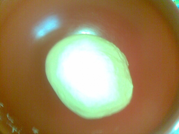 Slané praclíky (fotorecept) - obrázok 1