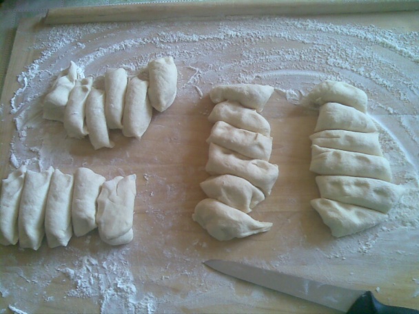 Slané praclíky (fotorecept) - obrázok 2