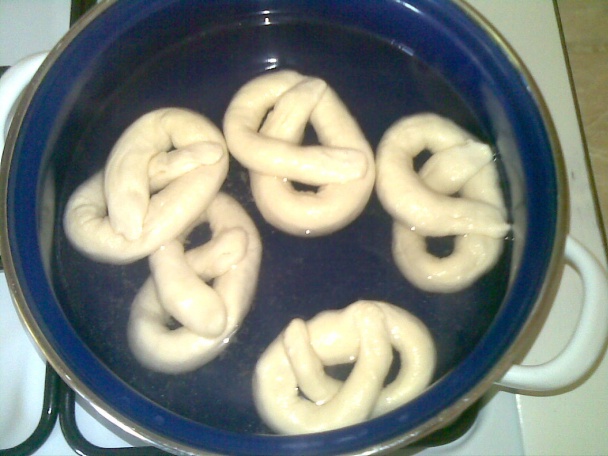 Slané praclíky (fotorecept) - obrázok 4