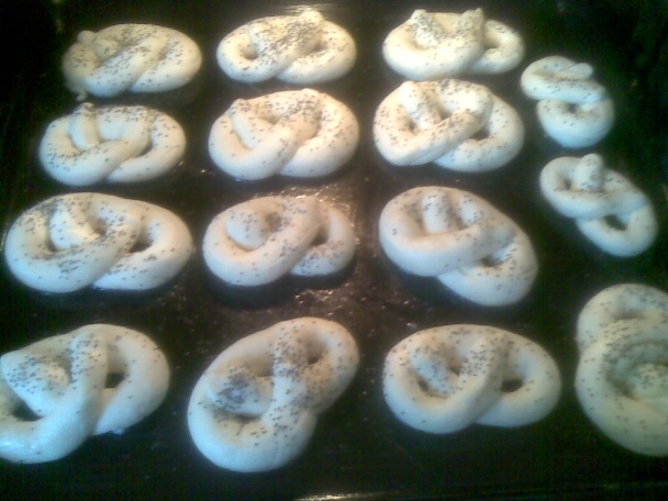 Slané praclíky (fotorecept) - obrázok 6