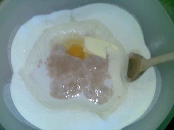 Slivkové buchty varené v elektrickej panvici (fotorecept) - obrázok 1