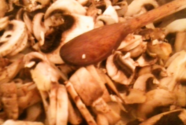 Rezne s hubovou plnkou (fotorecept) - obrázok 2