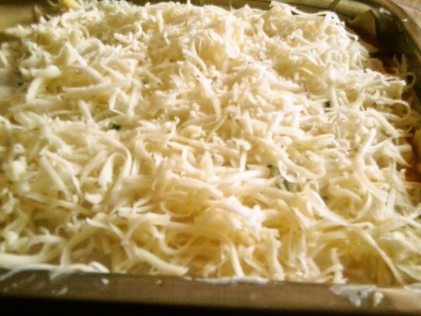 Lasagne (fotorecept) - obrázok 15