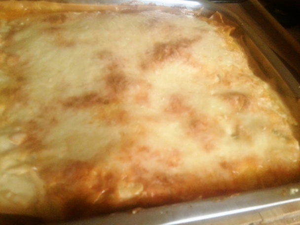 Lasagne (fotorecept) - obrázok 16