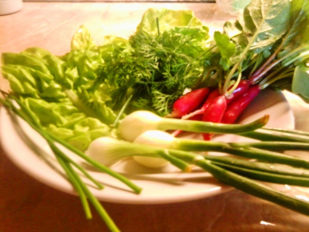 Tvarohovo-jogurtová nátierka s bylinkami (fotorecept) - obrázok 1