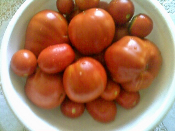 Bravčové stehno s rajčinami a bazalkou (fotorecept) - obrázok 1