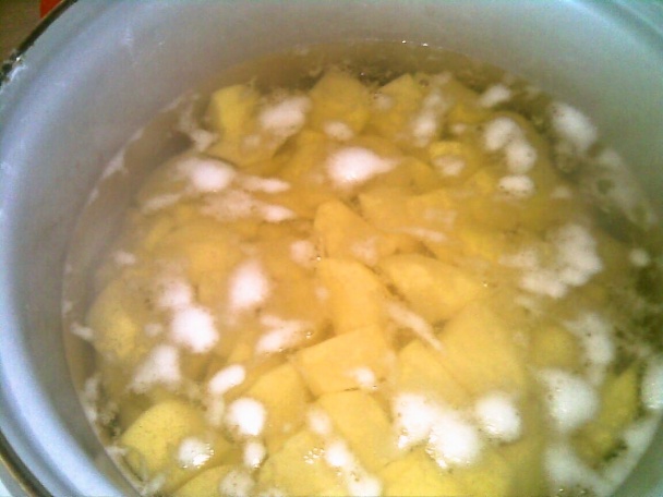 Lepenica (fotorecept) - obrázok 5