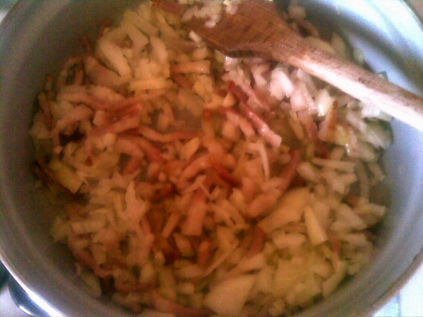 Lepenica (fotorecept) - obrázok 8