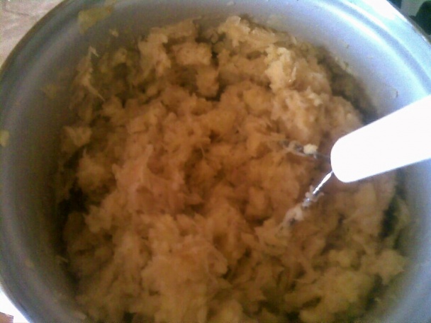 Lepenica (fotorecept) - obrázok 11