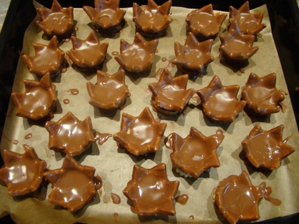 Lekniny z lineckého cesta. - obrázok 5