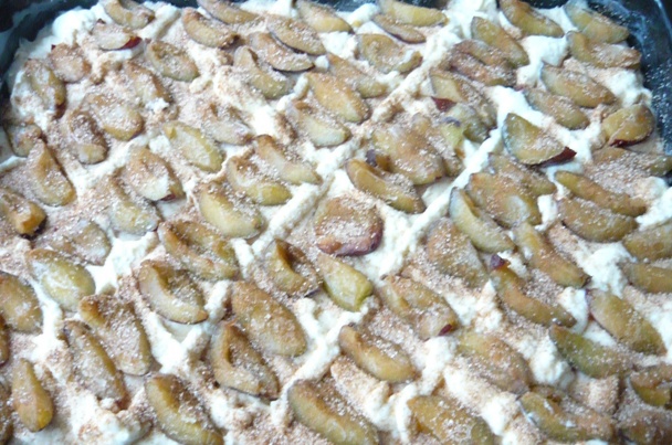 Slivkovo-tvarohový kysnutý koláč - obrázok 2