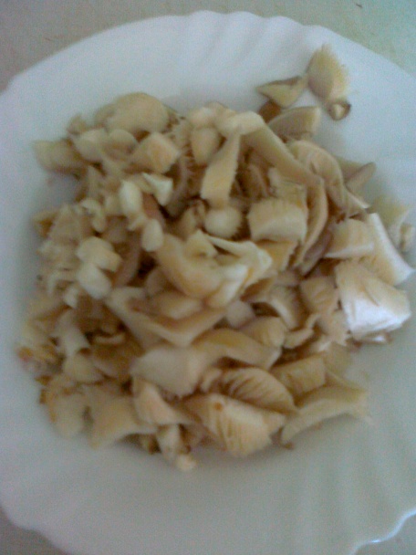 Hovädzie zadné s hlivou a kari korením - obrázok 3