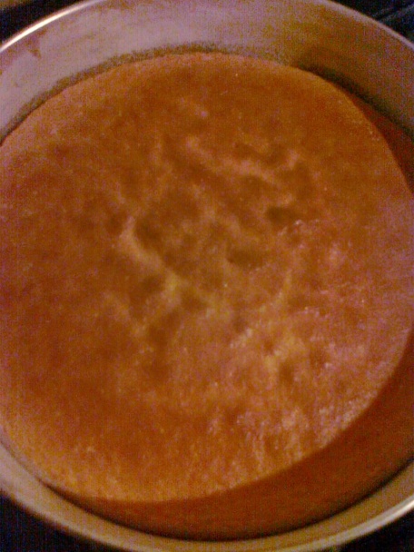 Opitý tvarohovník - obrázok 1