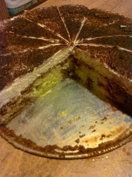 Opitý tvarohovník - obrázok 4