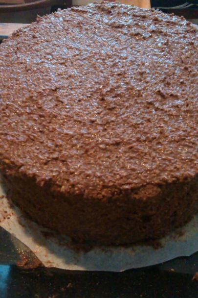 Kokosovo-čokoládová torta (fotorecept) - obrázok 9