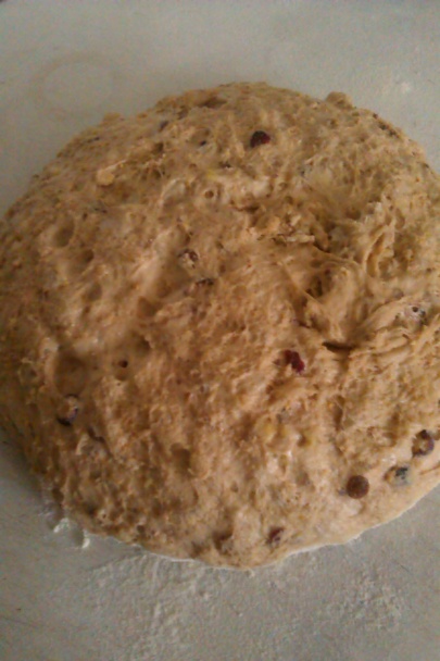 Panettone a muffiny ako panettone - obrázok 2