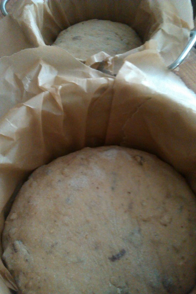 Panettone a muffiny ako panettone - obrázok 3