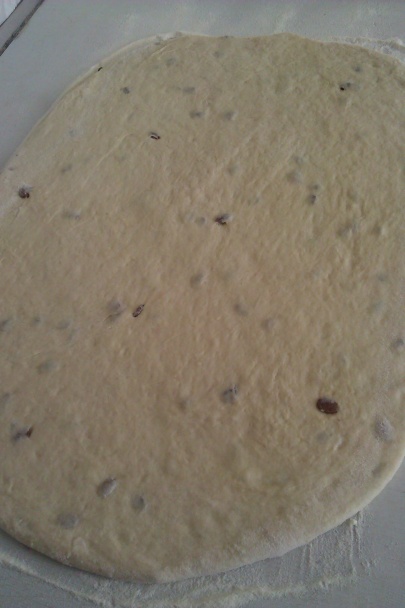 Obrie osie hniezda - obrázok 2