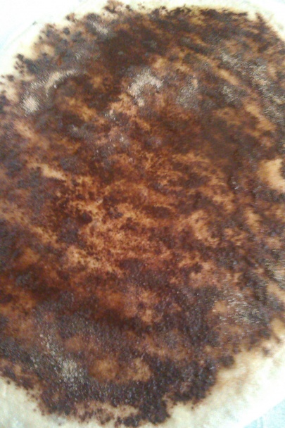 Obrie osie hniezda - obrázok 3