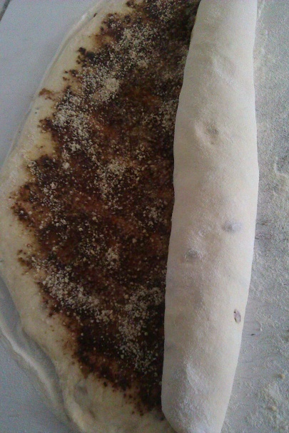 Obrie osie hniezda - obrázok 4