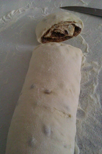 Obrie osie hniezda - obrázok 5